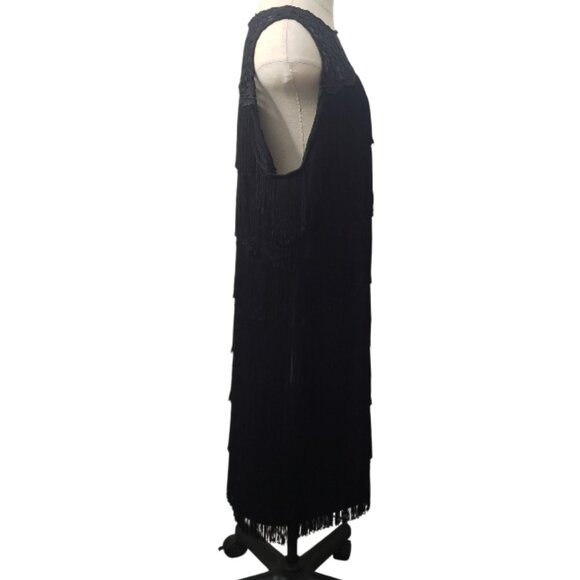 CT2206 White House Black Market Lace Flapper Fringe Dress 2x - Picture 2 of 8
